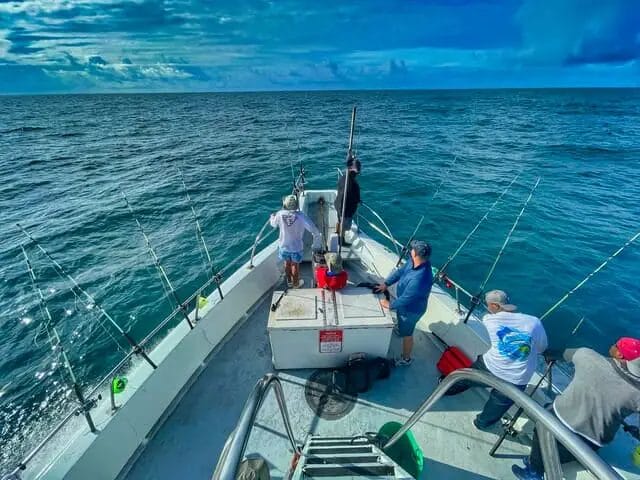 Deep-Sea Fishing Tour in the Gulf of Mexico
