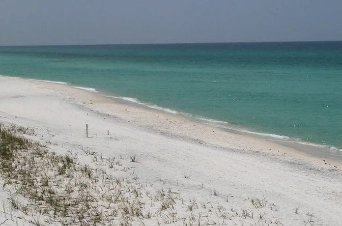 Grayton Beach State Park, Florida