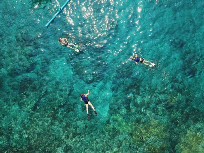 The 9 Best Beaches to Snorkel in Florida